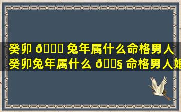 癸卯 🐎 兔年属什么命格男人「癸卯兔年属什么 🐧 命格男人婚姻」